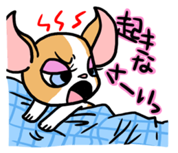 House of Chihuahua sticker #8220521