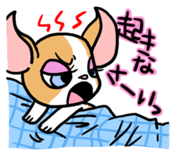 House of Chihuahua sticker #8220521