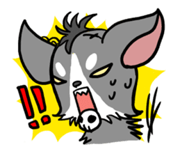 House of Chihuahua sticker #8220523