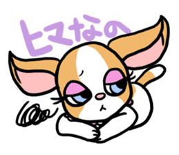 House of Chihuahua sticker #8220524