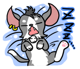 House of Chihuahua sticker #8220525