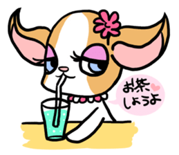 House of Chihuahua sticker #8220526