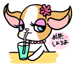 House of Chihuahua sticker #8220526