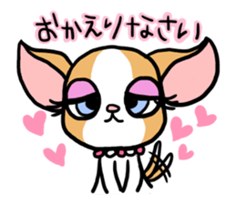 House of Chihuahua sticker #8220527