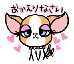 House of Chihuahua sticker #8220527