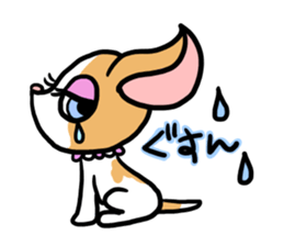 House of Chihuahua sticker #8220532