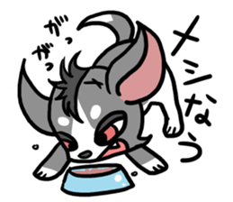 House of Chihuahua sticker #8220533