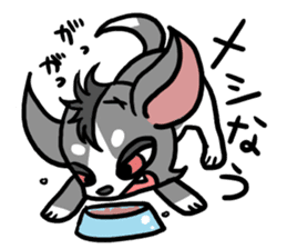 House of Chihuahua sticker #8220533