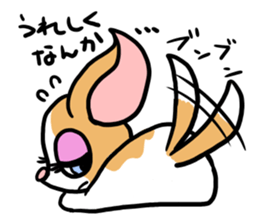 House of Chihuahua sticker #8220534