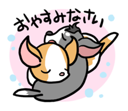 House of Chihuahua sticker #8220539