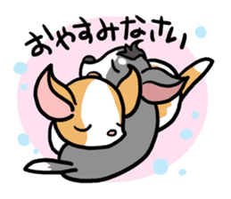 House of Chihuahua sticker #8220539