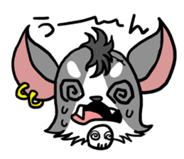 House of Chihuahua sticker #8220540