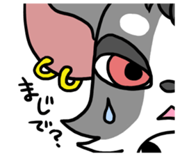 House of Chihuahua sticker #8220542