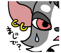 House of Chihuahua sticker #8220542