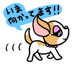 House of Chihuahua sticker #8220543