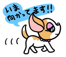 House of Chihuahua sticker #8220543