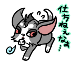 House of Chihuahua sticker #8220544