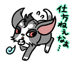 House of Chihuahua sticker #8220544