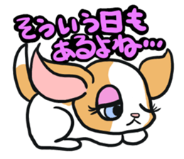 House of Chihuahua sticker #8220545