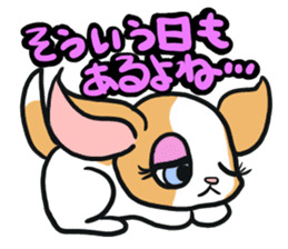 House of Chihuahua sticker #8220545