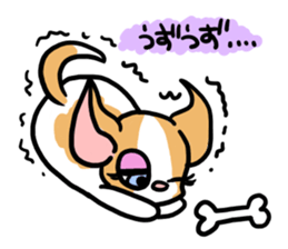 House of Chihuahua sticker #8220548