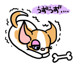 House of Chihuahua sticker #8220548