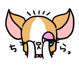 House of Chihuahua sticker #8220553