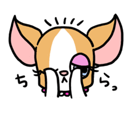 House of Chihuahua sticker #8220553