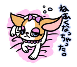 House of Chihuahua sticker #8220555