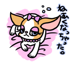 House of Chihuahua sticker #8220555