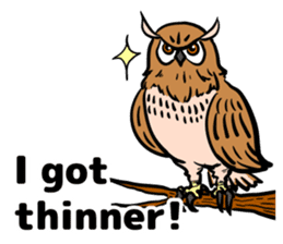 It is full of eared owls (English ver.) sticker #8220767
