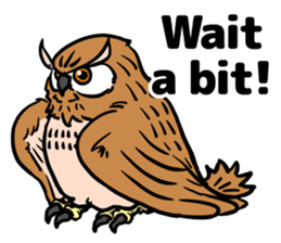 It is full of eared owls (English ver.) sticker #8220781