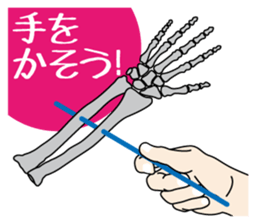 Organ and bone Sticker sticker #8223269