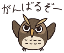 Owl ball sticker #8224806