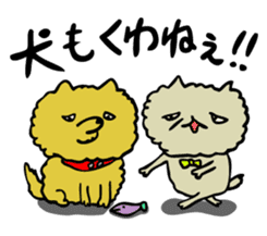 cat senpai sticker #8226328