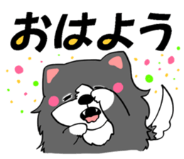 border collie dog! sticker #8226772