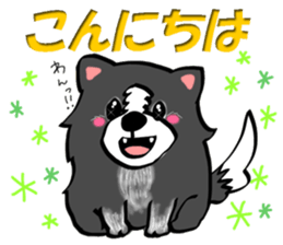 border collie dog! sticker #8226774