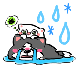 border collie dog! sticker #8226778