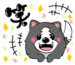 border collie dog! sticker #8226779