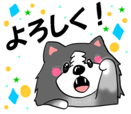 border collie dog! sticker #8226781