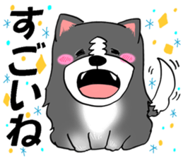 border collie dog! sticker #8226783