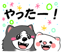 border collie dog! sticker #8226784