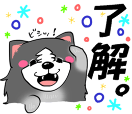 border collie dog! sticker #8226787