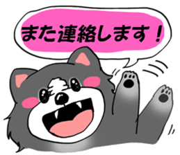 border collie dog! sticker #8226789