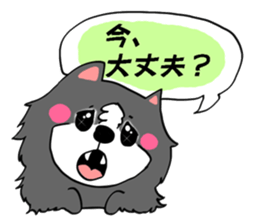 border collie dog! sticker #8226795