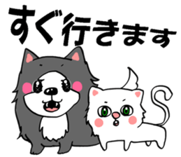 border collie dog! sticker #8226802