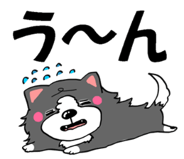 border collie dog! sticker #8226805