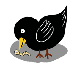 Little Blackbird small point of sticker #8229071