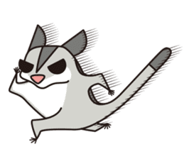 Sugar Glider Sticker 2  -Expressively- sticker #8231681