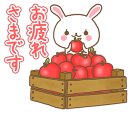Rabbit Wonderland box[Words often used] sticker #8233911